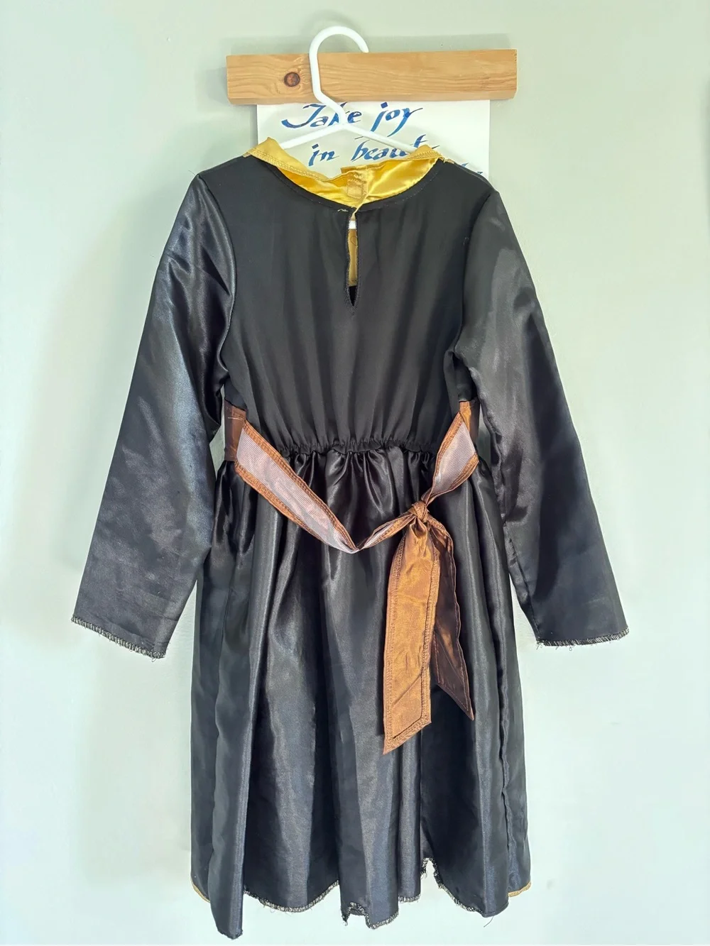 Disney Frozen 2 Anna Travel Dress: Halloween 2 pieces pre-owned